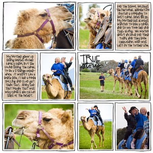 Camel Ride at the National Arboretum