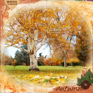Autumn