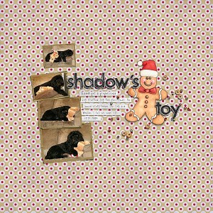 Shadow's Toy