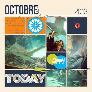 2013-1001-oceanopolis-requinscie