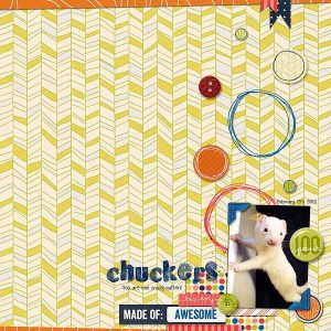 Chuckers