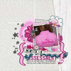 2013: Self Assesment