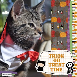 trick or treat time