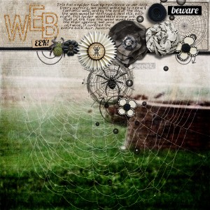 spider web