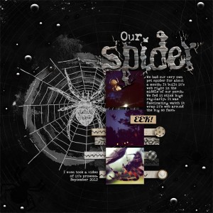 Our Spider