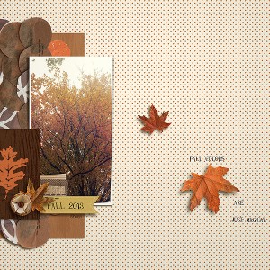 fall colors magical