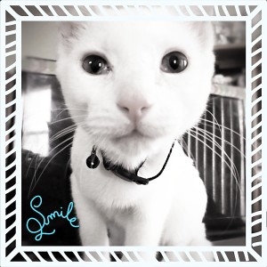 Smile