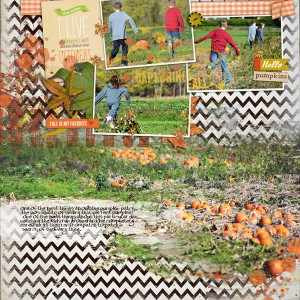 pumpkin possibilities
