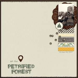 at the Petrified Forest