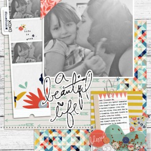 A Beautiful Life