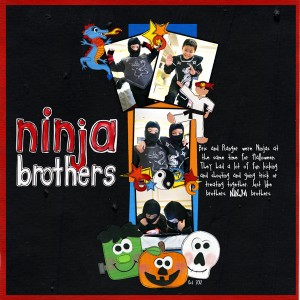 Ninja Brothers