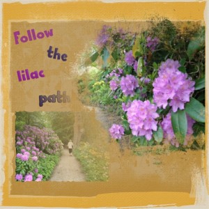 follow the lilac path