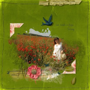12may_poppies_paint3