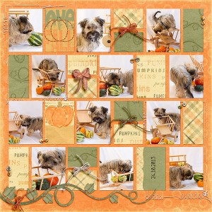 Pumpkins
