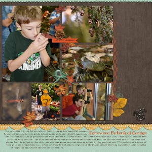 Fernwood Field Trip
