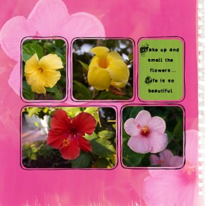 Florida Flowers