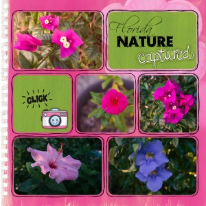 Florida Flowers