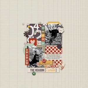 The Reason