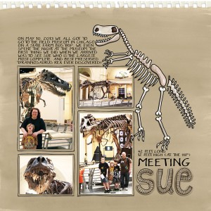 meeting sue
