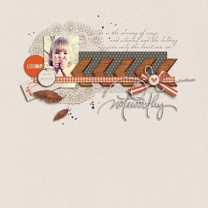 Memory Collector