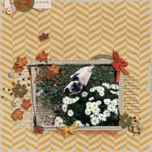 Penny & Daisies