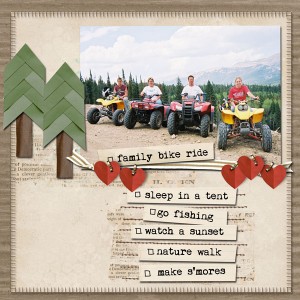 favorite family ride