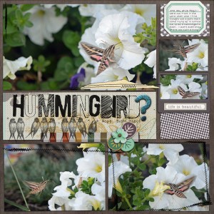 Hummingbird