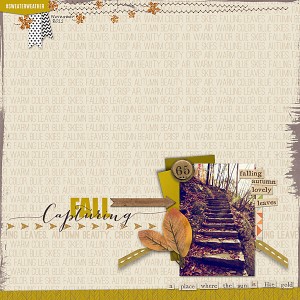 Capturing Fall