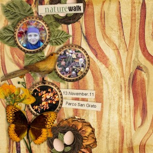 Nature walk
