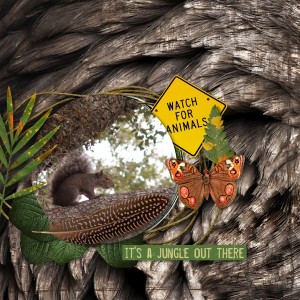 Squirrel