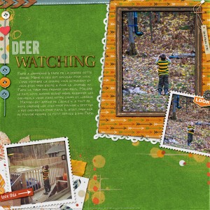 Deer Watching