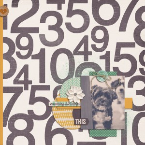 Nov Scraplift Challenge