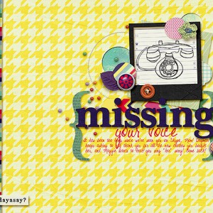 Missing Your Voice