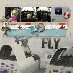 Fly