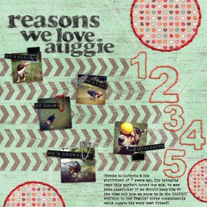 5 Reasons We Love Auggie