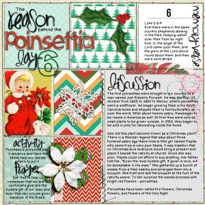 25Reasons_6_Poinsettia