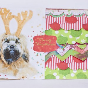 pre-christmas card
