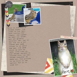 we love our critter friends