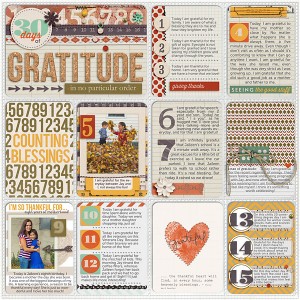 30 Days of Gratitude 1-15
