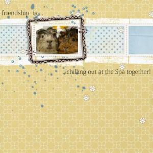 Friendship is