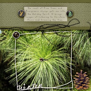 Pine tree