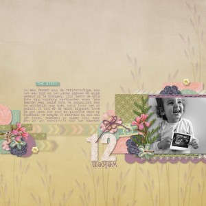 7-12-weken_resize
