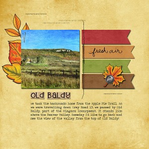 Old Baldy