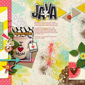 JAVA