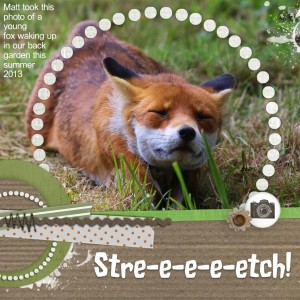 Stretch!