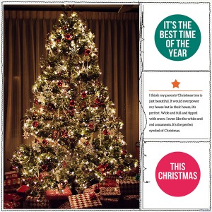 this christmas