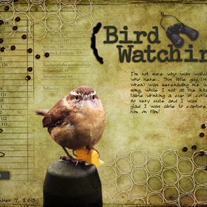 Bird Watching