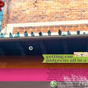 Getting Our Pidgeons All in a Row