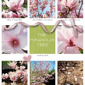 The Magnolia Tree