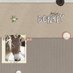 Somber Donkey